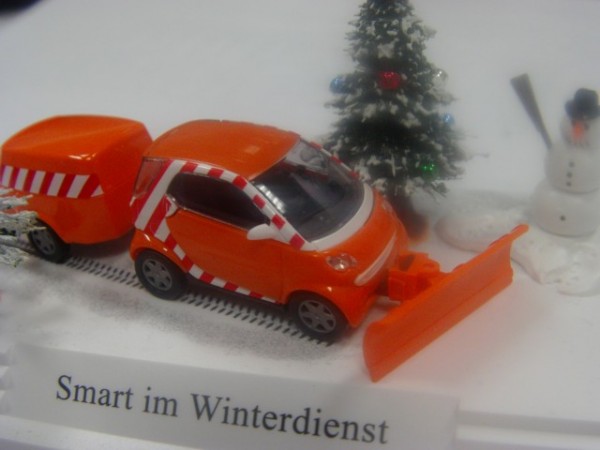 20111206-smart-winterdienst.jpg
