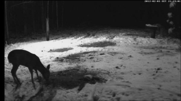 Screenshot_415.jpg