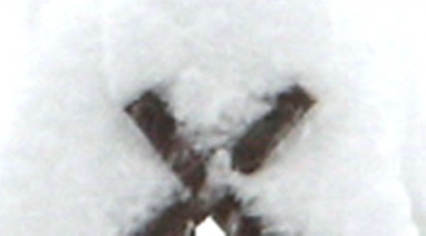 NEU 005a.jpg