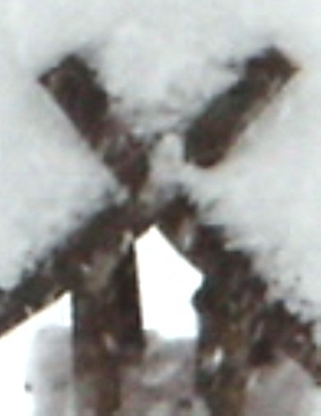 NEU 005b.jpg