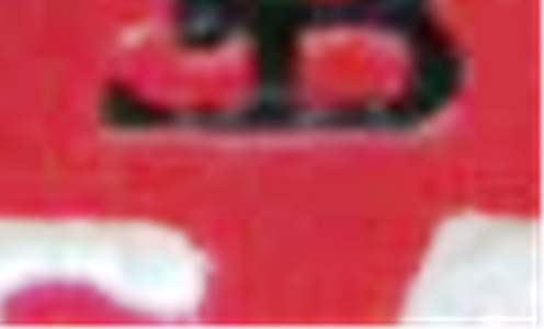 BILD0071ab.JPG
