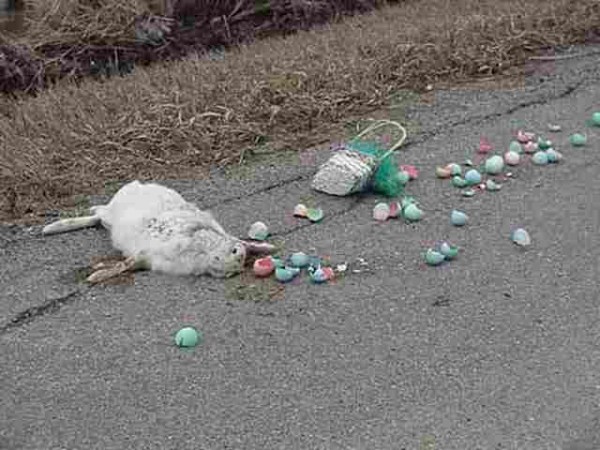 Der Osterhase kommt heute nicht.jpg