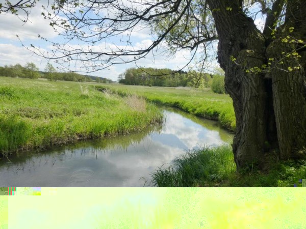 Idylle