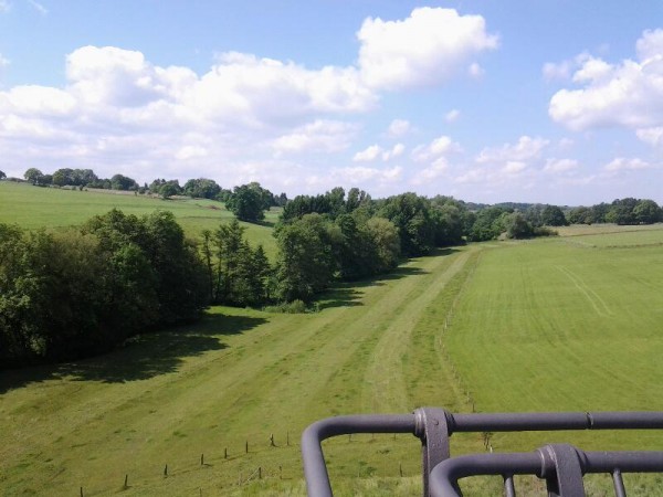 rps20140601_085702.jpg