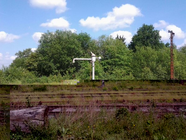 rps20140601_090003.jpg