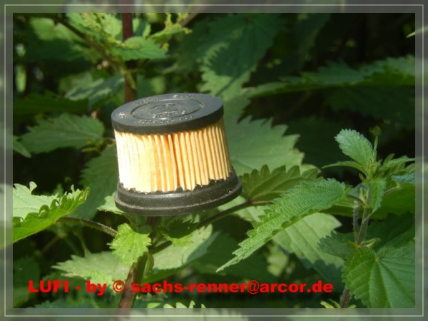 Lufi - 004.jpg