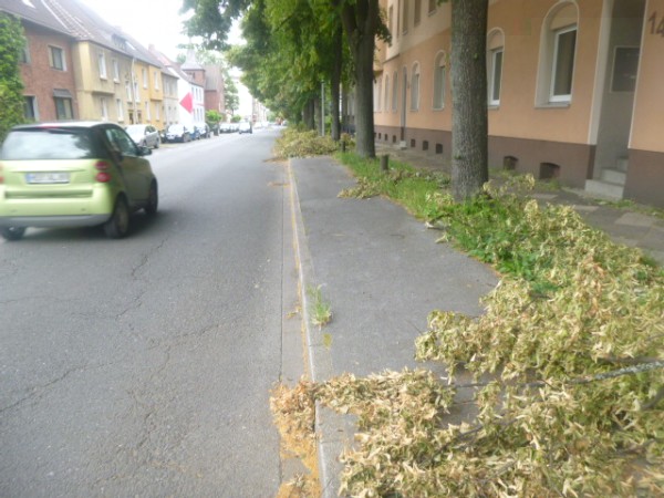 P1050049.JPG
