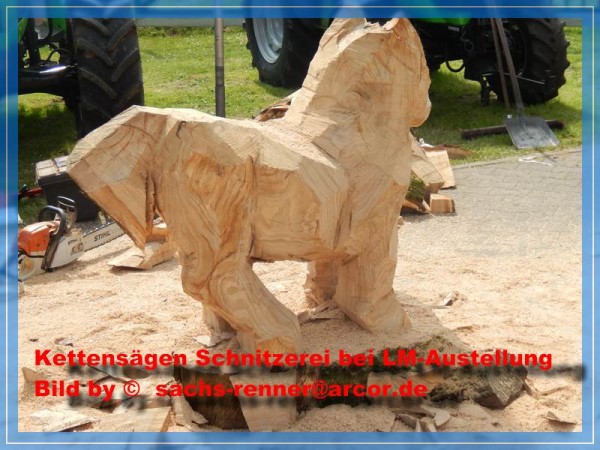 Kettensäge  - 0003.jpg