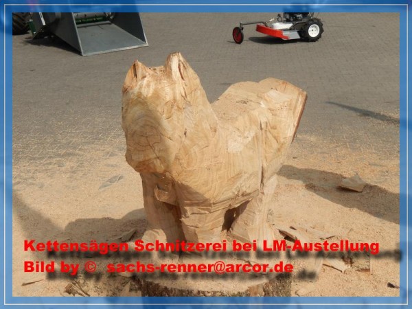 Kettensäge  - 0004.jpg
