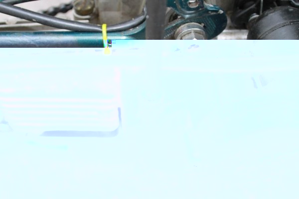 image.jpg