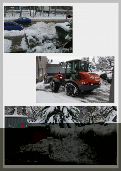 schnee 2010.jpg