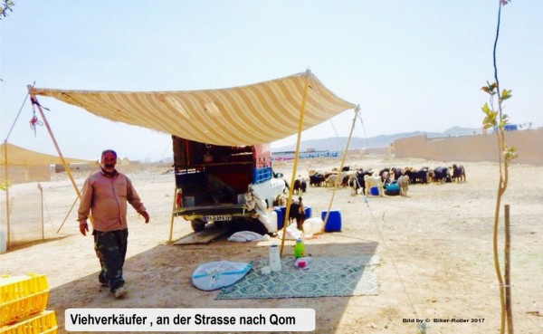 bild-1.jpg