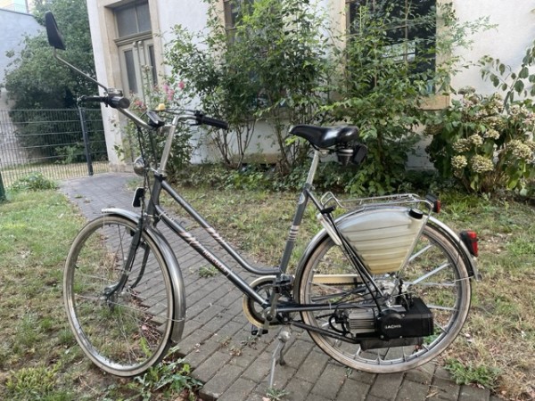 Mittel (IMG_5816).jpeg