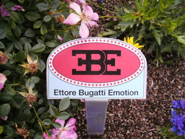 BILD0077a.JPG