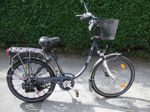 Korbtier mit Grösse 1024x768  135 Kb